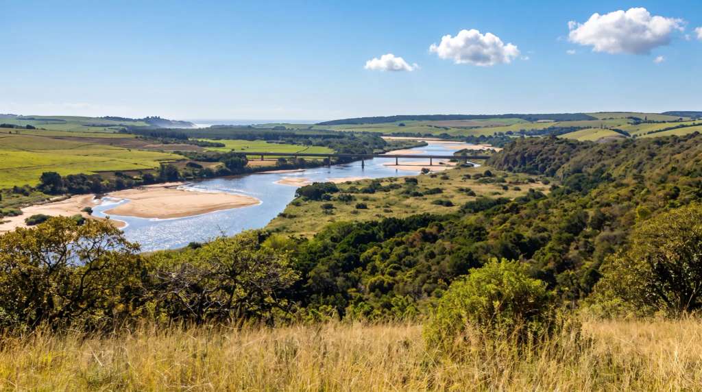 Things to Do Near Zinkwazi: Harold Johnson Nature Reserve and Mtunzini