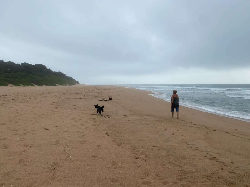 Pet-Friendly Accommodation in Zinkwazi Beach