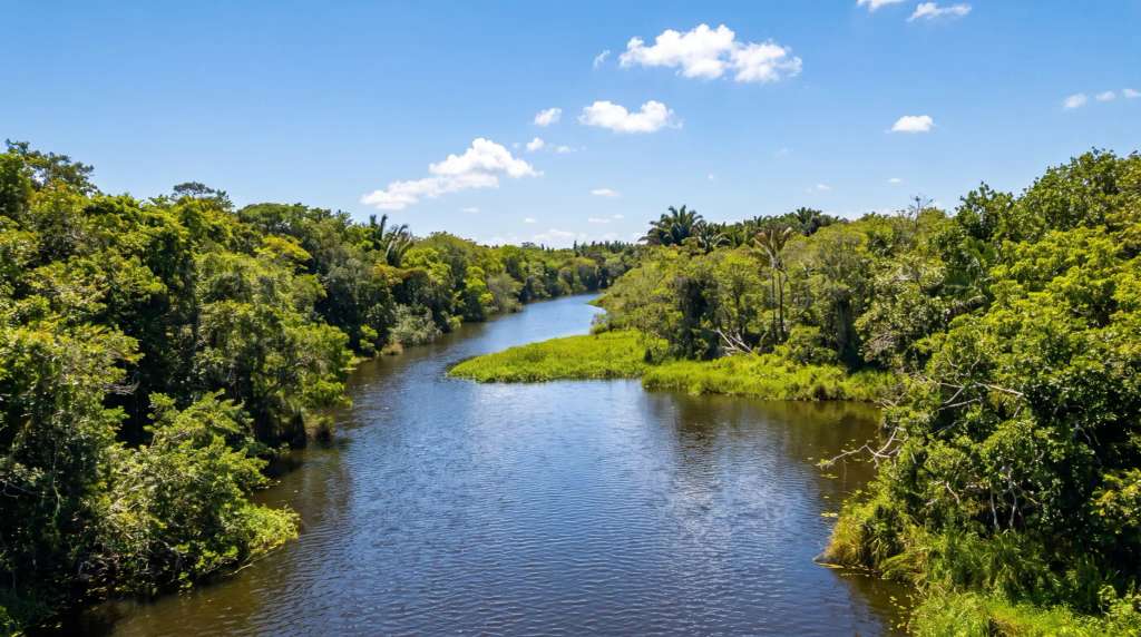 Things to Do in St Lucia KZN: iSimangaliso Day Trip from Zinkwazi